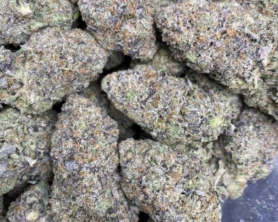 SATANIC ROCKSTAR (EXTREME GAS) - Image 2